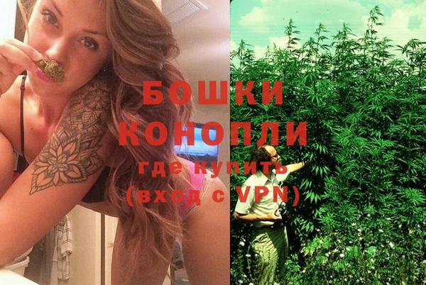 стаф Белоозёрский