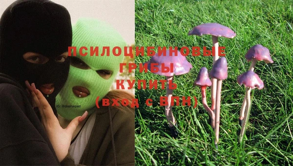 мескалин Белокуриха