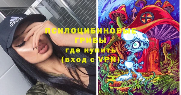 стаф Белоозёрский